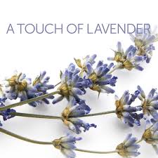 a touch of lavender